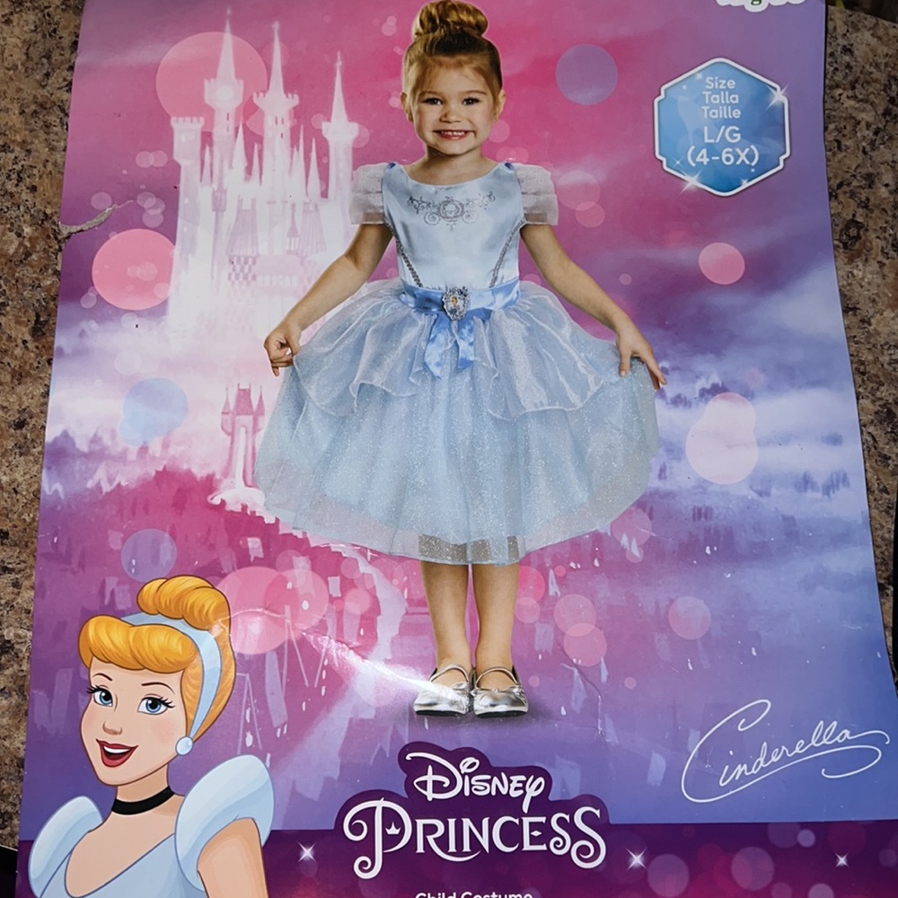 PO: Disney Princess Cinderella Costume.👗